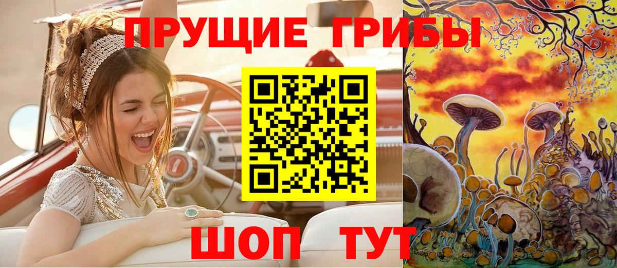Чебаркуль  Галлюциногенные грибы Cubensis  Вход с VPN 