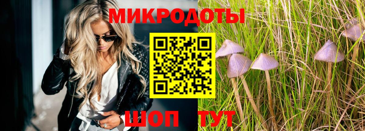 Псилоцибиновые грибы прущие грибы Чебаркуль